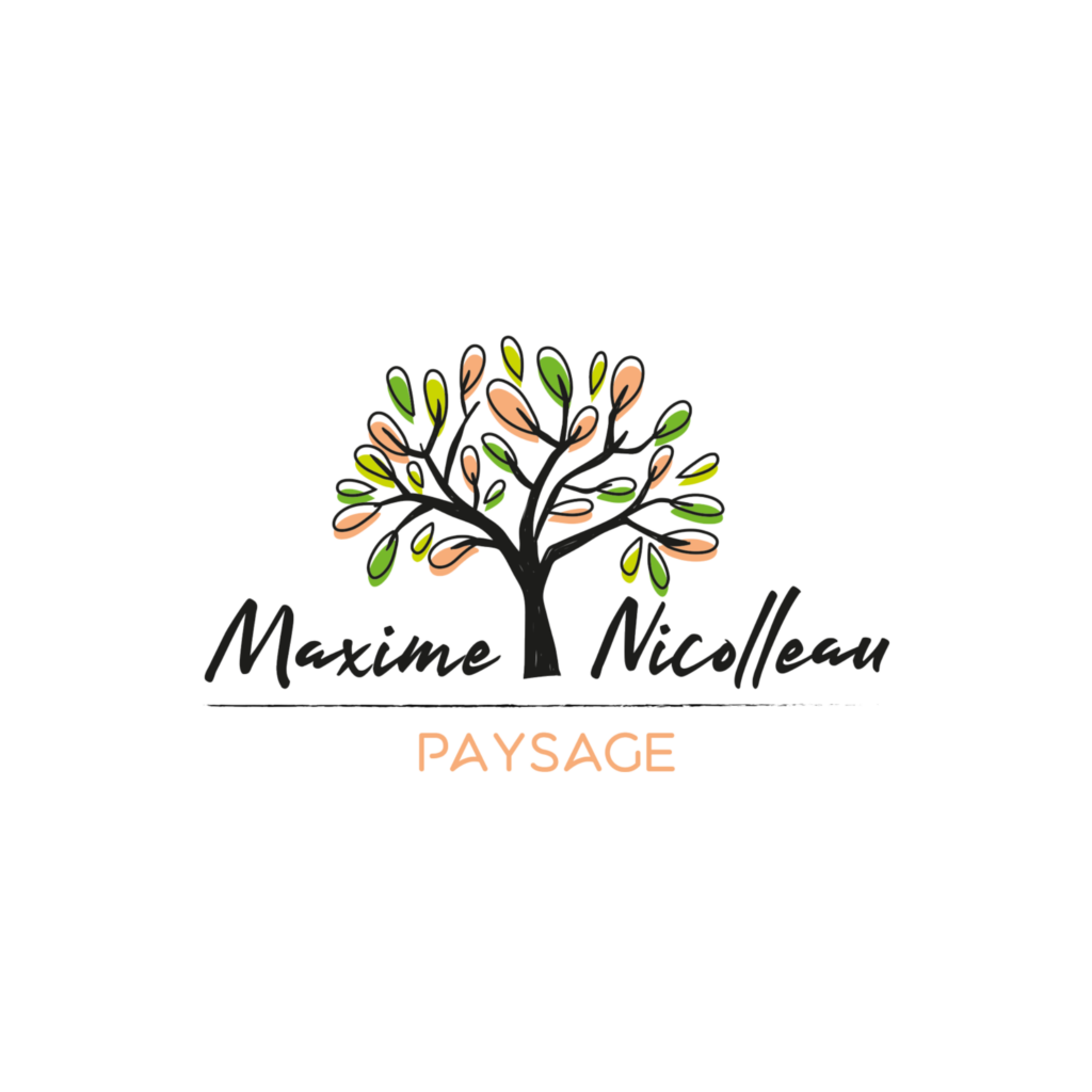 logo maxime Nicolleau paysage(1)