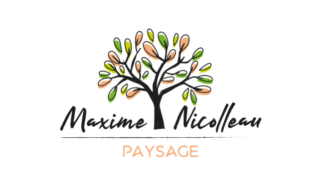 logo maxime Nicolleau paysage(1)